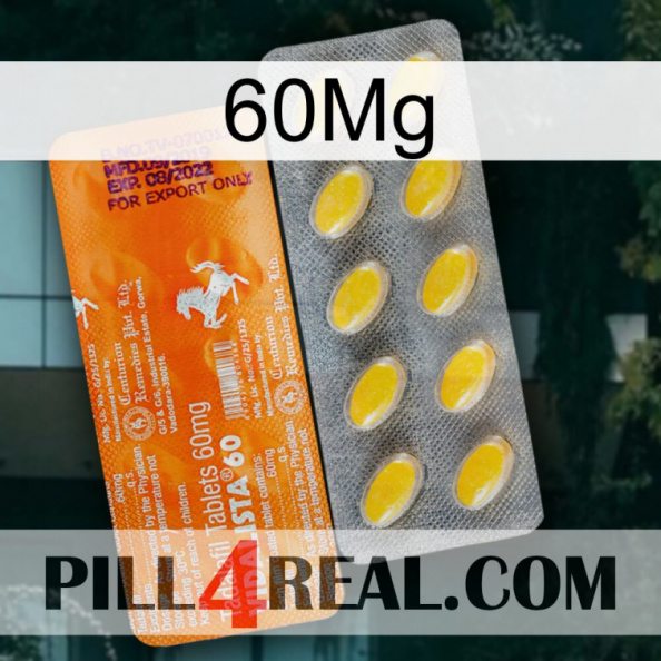 60Mg new05.jpg